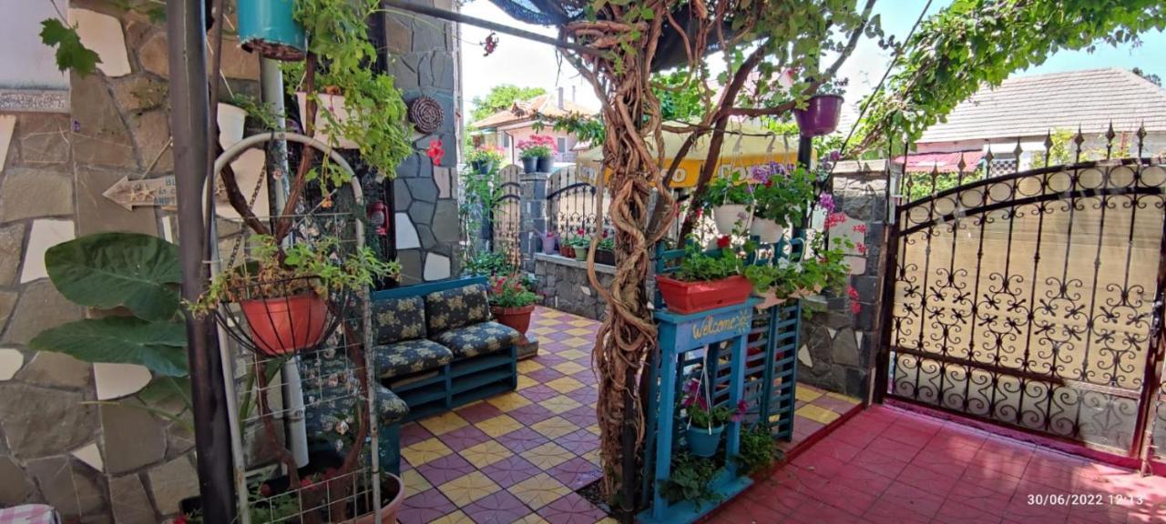 קוסטינסטי Vila Traian Si Teodora מראה חיצוני תמונה