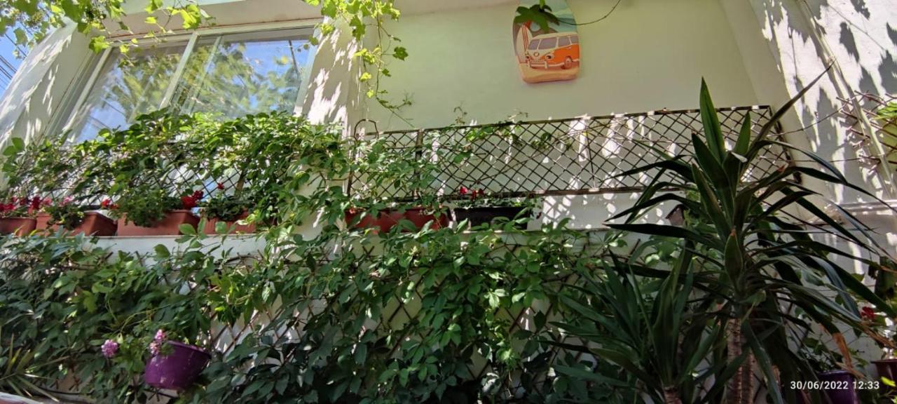 קוסטינסטי Vila Traian Si Teodora מראה חיצוני תמונה